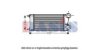 AKS DASIS 167008N Intercooler, charger